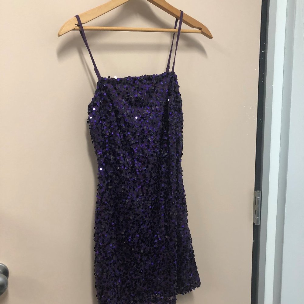 Purple Sequin Wild Fable Dress